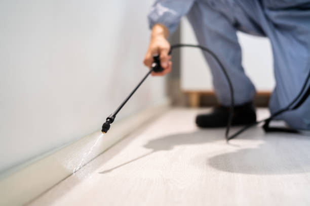Certified termite inspector examining foundation in Mountain Home